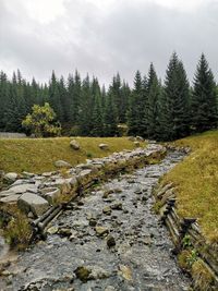 Scenic view of stream against sky