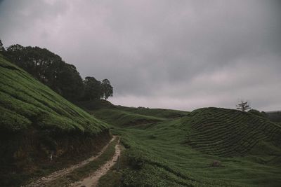 Scenic view of landscape against cloudy sky