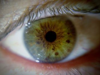 Macro shot of human eye