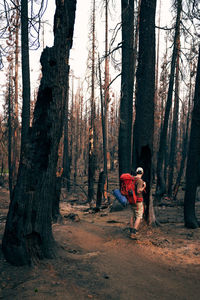 People by trees in forest