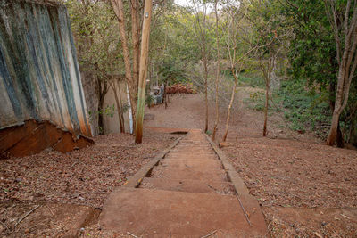 Footpath amidst trees in forest