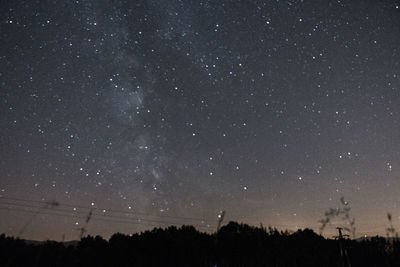 Low angle view of silhouette trees against sky at night