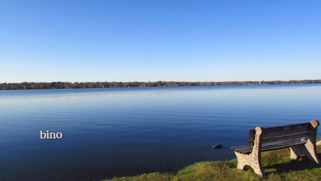 water, lake, tranquility, sky, tranquil scene, clear sky, blue, beauty in nature, copy space, nature, scenics - nature, no people, day, non-urban scene, plant, beach, tree, lakeshore, idyllic, outdoors