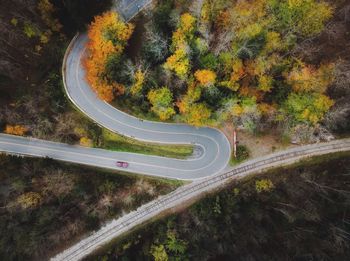 High angle view of road amidst trees