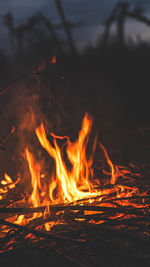 Close-up of bonfire at night