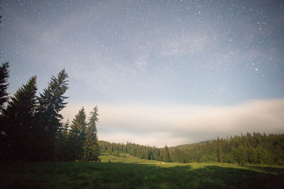 Scenic view of forest against sky at night