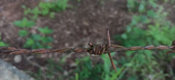 Close-up of barbed wire fence