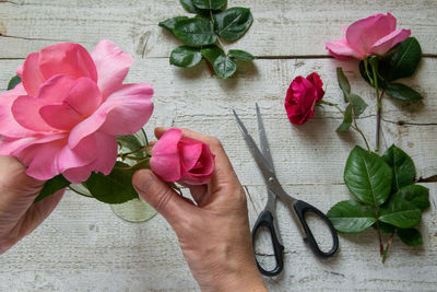 Midsection of person holding pink roses