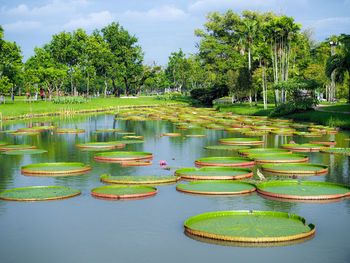 Scenic view of lake