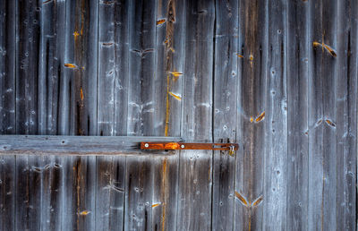 Close-up of wooden door