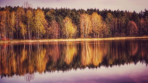 Reflection of trees in lake against sky