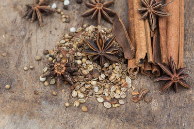 High angle view of dead plant growing on wood