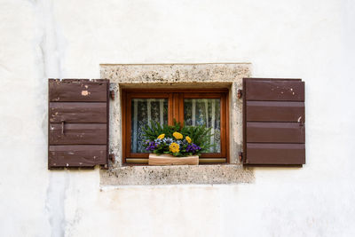 Close-up of window on wooden wall