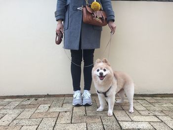 Low section of woman holding dog