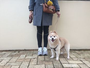 Portrait of dog standing with woman against wall