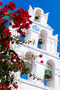 Low angle view of white flowering plant against building