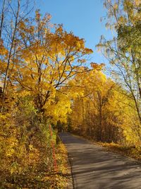 Road amidst trees against sky during autumn