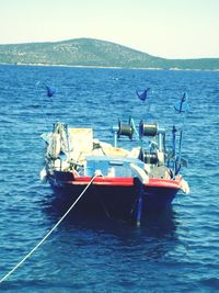 Boats in sea