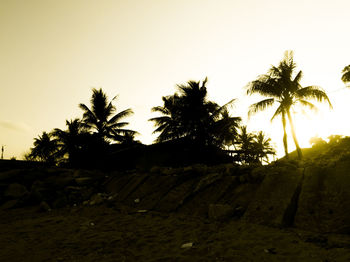 Palm trees against sky during sunset