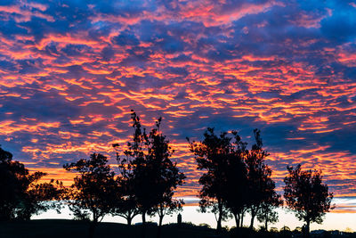 Low angle view of silhouette trees against dramatic sky