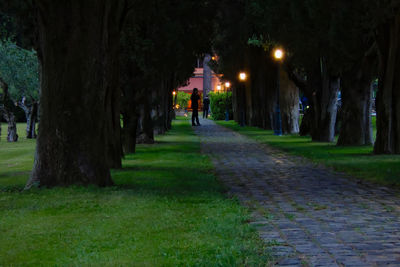 People walking on illuminated street at night