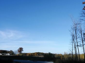 Trees on landscape against blue sky