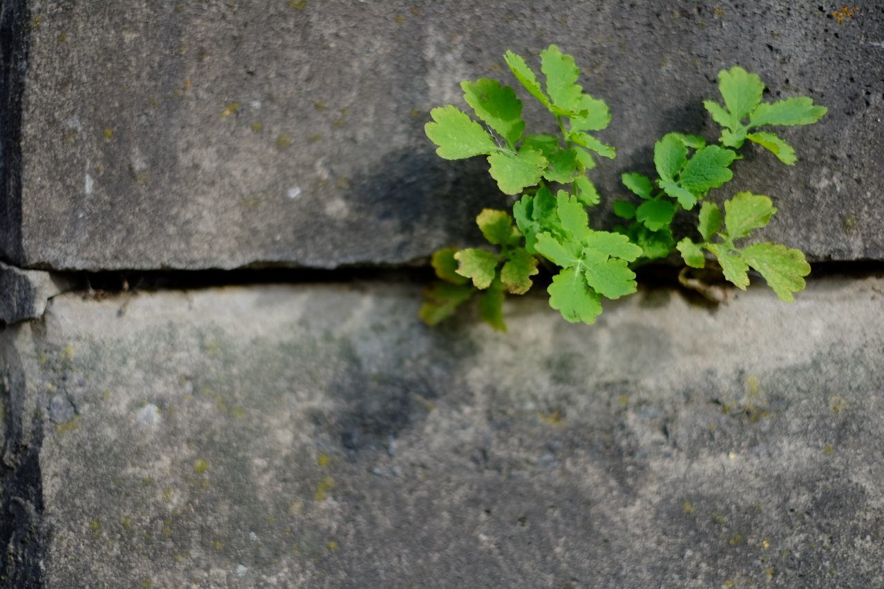 Breaking the concrete