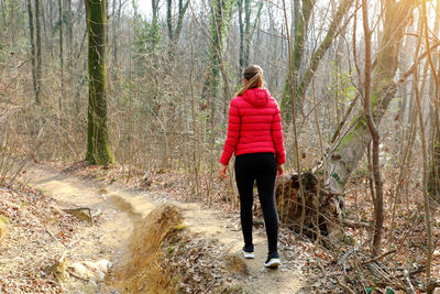 Rear view of woman walking in forest