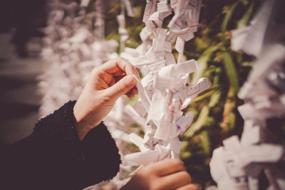 Close-up of hand holding flower