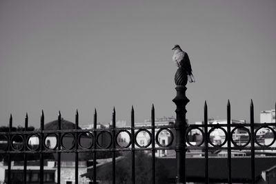 Statue of railing against clear sky