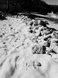 High angle view of rocks on beach