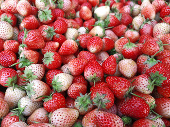 Strawberries background. strawberry. food background
