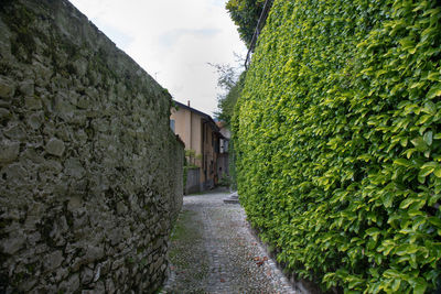 Footpath amidst buildings against sky