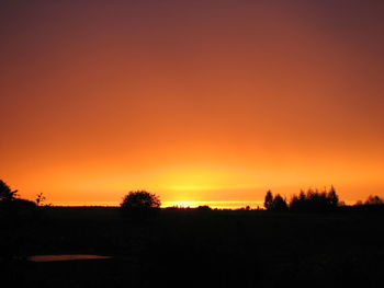 Scenic view of silhouette trees against orange sky