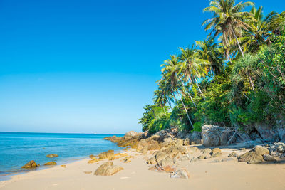 Scenic view of sea against clear blue sky