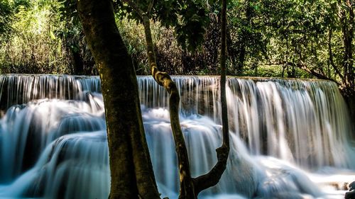 Scenic view of waterfall in forest