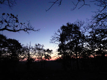 Silhouette trees against sky during sunset