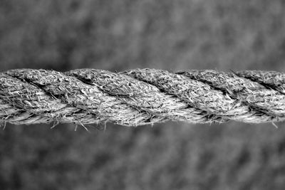 Close-up of rope