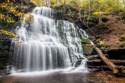 Scenic view of waterfall in forest