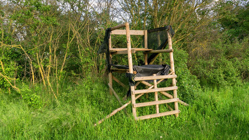 Empty chair on field in forest