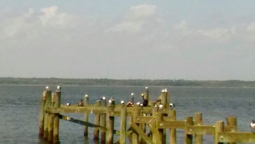 Wooden post perching on railing by sea against sky