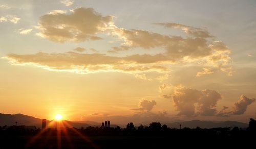 Sunlight streaming through silhouette trees during sunset