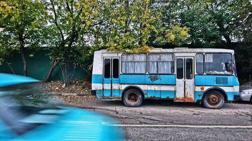 Vintage car on road by trees