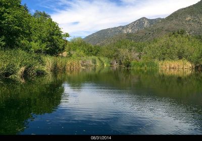 water