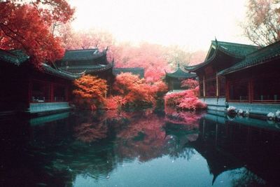 Reflection of buildings in water