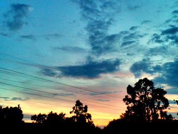 Silhouette of trees at sunset