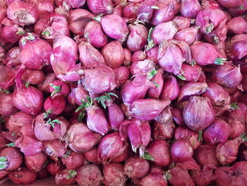 Full frame shot of pink for sale in market