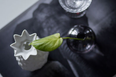 High angle view of drink on table