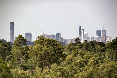 Trees and cityscape against clear sky