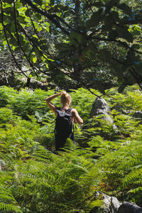 Female hiker wearing backpack standing in the field full of fern